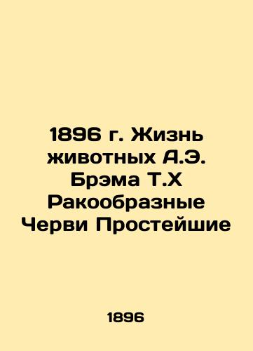 1896 The Life of A.E. Bram's Animals T.X Crustacean Worms Protozoa In Russian (ask us if in doubt)/1896 g. Zhizn' zhivotnykh A.E. Brema T.X Rakoobraznye Chervi Prosteyshie - landofmagazines.com