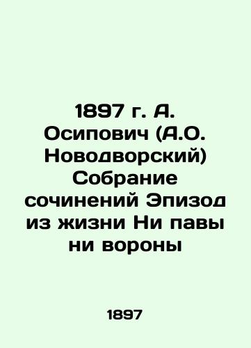 1897 by A. Osipovich (A.O. Novodvorsky) A collection of essays An episode from the life of Ni pawa i rava In Russian (ask us if in doubt)/1897 g. A. Osipovich (A.O. Novodvorskiy) Sobranie sochineniy Epizod iz zhizni Ni pavy ni vorony - landofmagazines.com