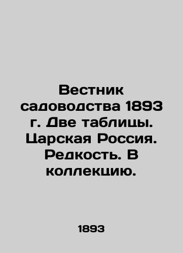 Gardening Bulletin 1893 Two tables. Tsarist Russia. Rarity In Russian (ask us if in doubt)/Vestnik sadovodstva 1893 g. Dve tablitsy. Tsarskaya Rossiya. Redkost'. V kollektsiyu. - landofmagazines.com