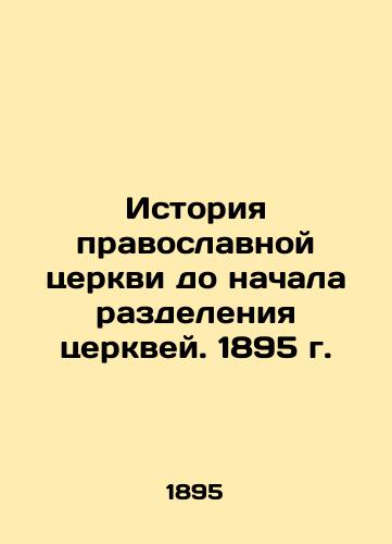 History of the Orthodox Church before the division of churches. 1895 In Russian (ask us if in doubt)/Istoriya pravoslavnoy tserkvi do nachala razdeleniya tserkvey. 1895 g. - landofmagazines.com