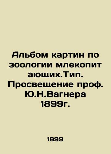 An album of paintings on mammalian zoology. Enlightenment by Prof. Y.N. Wagner, 1899 In Russian (ask us if in doubt)/Al'bom kartin po zoologii mlekopitayushchikh.Tip. Prosveshchenie prof. Yu.N.Vagnera 1899g. - landofmagazines.com