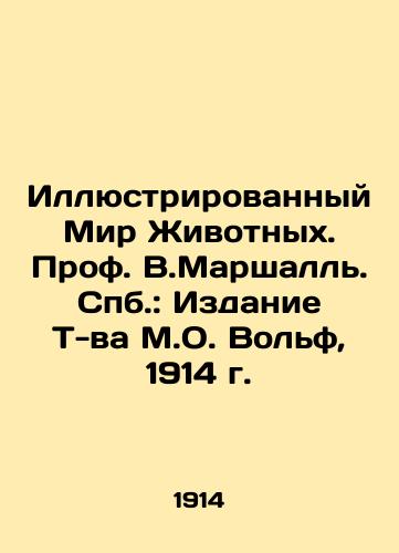 The Illustrated World of Animals. Prof. W.Marshall. St. Petersburg: The Edition of T. M. O. Wolf, 1914. In Russian (ask us if in doubt)/Illyustrirovannyy Mir Zhivotnykh. Prof. V.Marshall'. Spb.: Izdanie T-va M.O. Vol'f, 1914 g. - landofmagazines.com