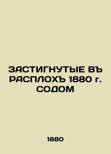 STARTED BY 1880 In Russian (ask us if in doubt)/ZASTIGNUTYE V RASPLOKh 1880 g. SODOM - landofmagazines.com