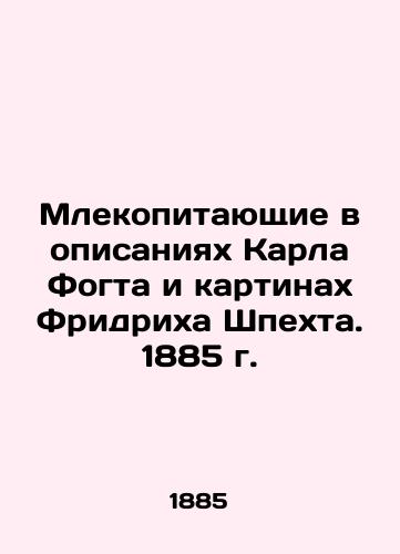 Mammals in Karl Vogt's descriptions and Friedrich Specht's paintings. 1885 In Russian (ask us if in doubt)/Mlekopitayushchie v opisaniyakh Karla Fogta i kartinakh Fridrikha Shpekhta. 1885 g. - landofmagazines.com