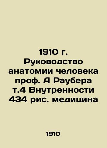 1910 Guide to Human Anatomy by Prof. A Rauber Vol. 4 Inner 434 Rice Medicine In Russian (ask us if in doubt)/1910 g. Rukovodstvo anatomii cheloveka prof. A Raubera t.4 Vnutrennosti 434 ris. meditsina - landofmagazines.com