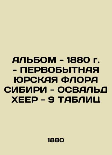 ALBOM - 1880 - FIRST SIBERY-OSVALD HEER-9 TABLES In Russian (ask us if in doubt)/AL'BOM - 1880 g. - PERVOBYTNAYa YuRSKAYa FLORA SIBIRI - OSVAL'D KhEER - 9 TABLITs - landofmagazines.com