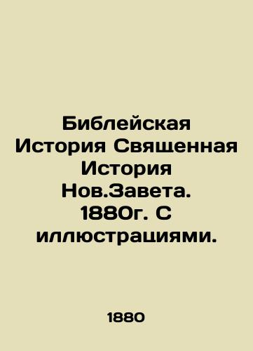 The Holy Story of the New Testament, 1880 with illustrations. In Russian (ask us if in doubt)/Bibleyskaya Istoriya Svyashchennaya Istoriya Nov.Zaveta. 1880g. S illyustratsiyami. - landofmagazines.com