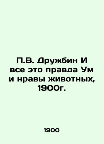 P.V. Druzhbin And All That Is True Animal Minds and Morals, 1900. In Russian (ask us if in doubt)/P.V. Druzhbin I vse eto pravda Um i nravy zhivotnykh, 1900g. - landofmagazines.com