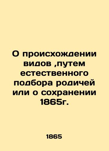 Brothers Karamazov. Dostoevsky. Tom3. 1896. In Russian (ask us if in doubt)/Brat'ya Karamazovy. Dostoevskiy. Tom3. 1896g. - landofmagazines.com