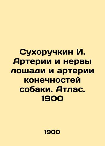 Sukhoruchkin I. Horse arteries and nerves and dog limb arteries. Atlas. 1900 In Russian (ask us if in doubt)/Sukhoruchkin I. Arterii i nervy loshadi i arterii konechnostey sobaki. Atlas. 1900 - landofmagazines.com