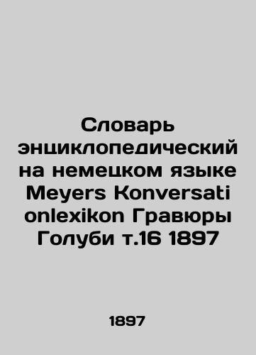Meyer Konversationlexikon Dove Engravings, v.16 1897 In German (ask us if in doubt)/Slovar' entsiklopedicheskiy na nemetskom yazyke Meyers Konversationlexikon Gravyury Golubi t.16 1897 - landofmagazines.com