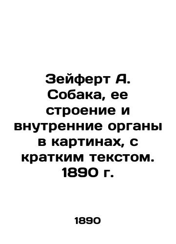 Seifert A. The Dog, Its Structure and Internal Organs in Paintings, with Brief Text. 1890 In Russian (ask us if in doubt)/Zeyfert A. Sobaka, ee stroenie i vnutrennie organy v kartinakh, s kratkim tekstom. 1890 g. - landofmagazines.com