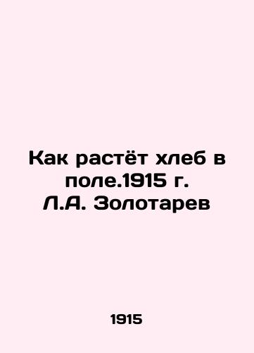 How bread grows in the field. 1915 L.A. Zolotarev In Russian (ask us if in doubt)/Kak rastyot khleb v pole.1915 g. L.A. Zolotarev - landofmagazines.com