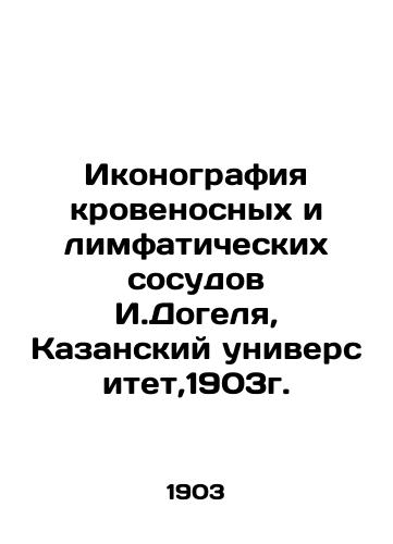 Iconography of I. Dogel's blood and lymphatic vessels, Kazan University, 1903. In Russian (ask us if in doubt)/Ikonografiya krovenosnykh i limfaticheskikh sosudov I.Dogelya, Kazanskiy universitet,1903g. - landofmagazines.com