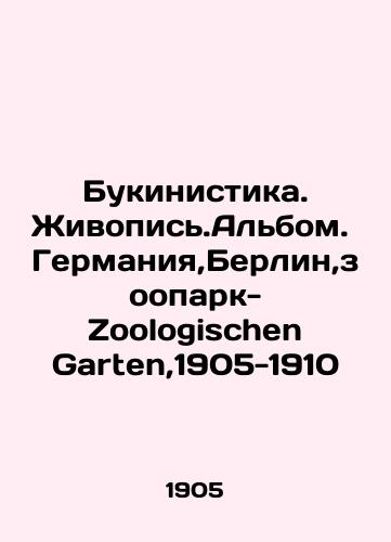 Bookinism. Animal writing. Album. Germany, Berlin, Zoologischen Garten, 1905-1910 In Russian (ask us if in doubt)/Bukinistika. Zhivopis'.Al'bom. Germaniya,Berlin,zoopark-Zoologischen Garten,1905-1910 - landofmagazines.com