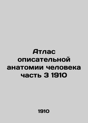 Atlas of Human Narrative Anatomy Part 3 1910 In Russian (ask us if in doubt)/Atlas opisatel'noy anatomii cheloveka chast' 3 1910 - landofmagazines.com