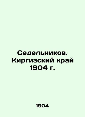 Sedelnikov. Kyrgyz Krai in 1904 In Russian (ask us if in doubt)/Sedel'nikov. Kirgizskiy kray 1904 g. - landofmagazines.com