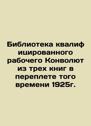 Library of the Qualified Worker of the Convolution, a three-book bound book from 1925 In Russian (ask us if in doubt)/Biblioteka kvalifitsirovannogo rabochego Konvolyut iz trekh knig v pereplete togo vremeni 1925g. - landofmagazines.com