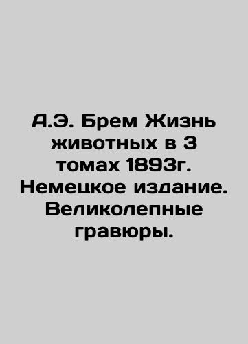 A.E. Brem The Life of Animals in 3 Volumes 1893. German Edition. Magnificent Engravings. In Russian (ask us if in doubt)/A.E. Brem Zhizn' zhivotnykh v 3 tomakh 1893g. Nemetskoe izdanie. Velikolepnye gravyury. - landofmagazines.com