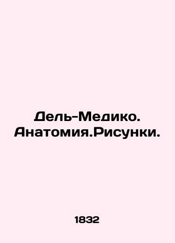 Del'-Mediko. Anatomiya.Risunki./Del Medico. Anatomy. Drawing. In Russian (ask us if in doubt) - landofmagazines.com