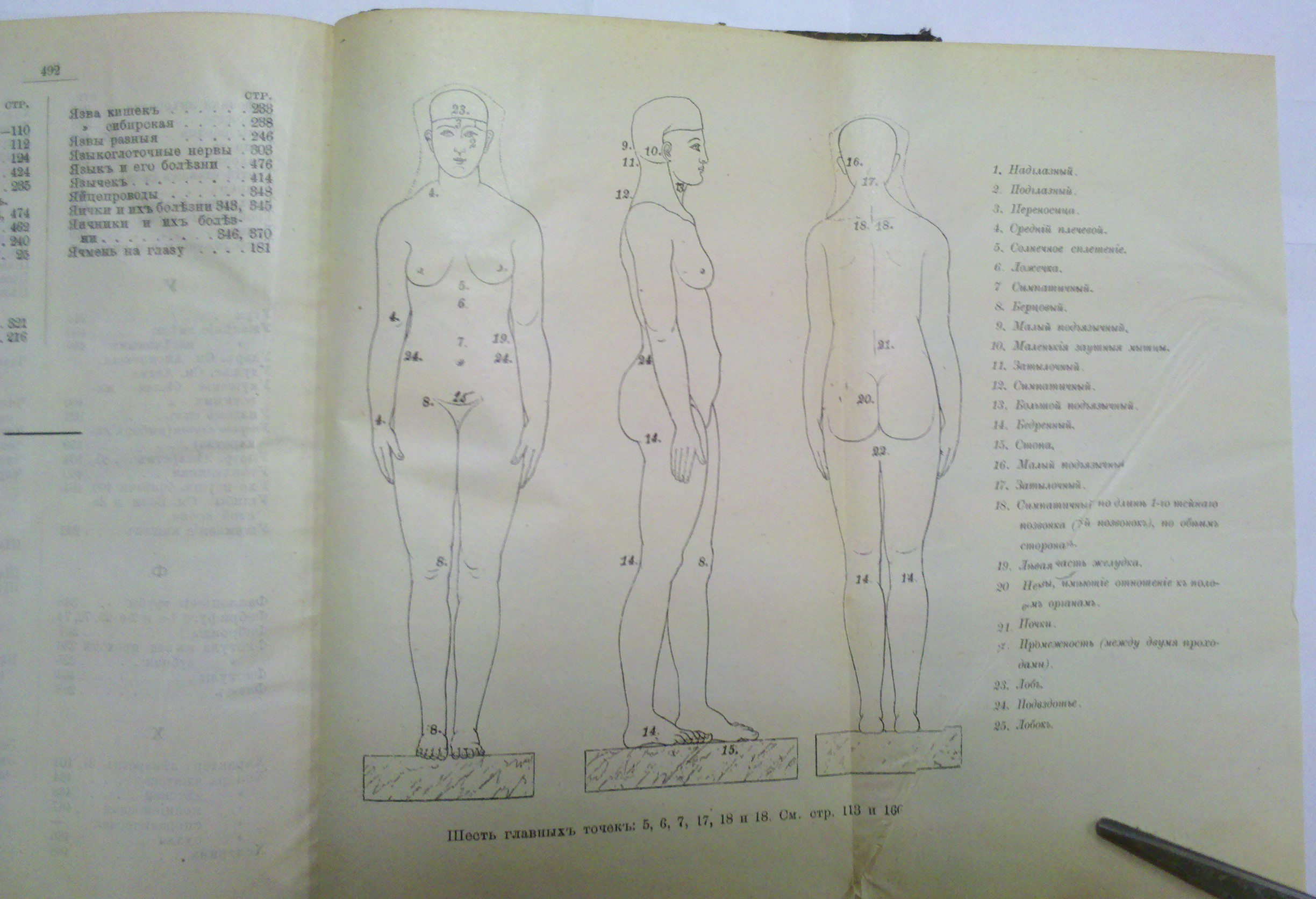 Smirnov S.V. Elektro-gomeopatiya grafa Mattei. St. Petersburg. 1898/Smirnov S.V. Electro-homeopathy of Count Mattei. St. Petersburg. 1898 - landofmagazines.com