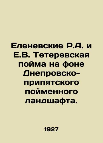 Elenevskie R.A. i E.V. Teterevskaya poyma na fone Dneprovsko-pripyatskogo poymennogo landshafta./Elenevskie R.A. and E.V. Teterevskaya floodplain against the backdrop of the Dnieper-Pripyat floodplain landscape. In Russian (ask us if in doubt) - landofmagazines.com