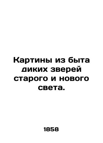 Kartiny iz byta dikikh zverey starogo i novogo sveta./Paintings from the way of life of wild beasts of the old and the new world. In Russian (ask us if in doubt). - landofmagazines.com