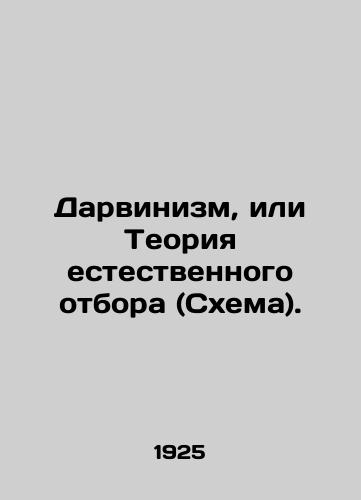 Darvinizm, ili Teoriya estestvennogo otbora (Skhema)./Darwinism or the Theory of Natural Selection (Scheme). - landofmagazines.com