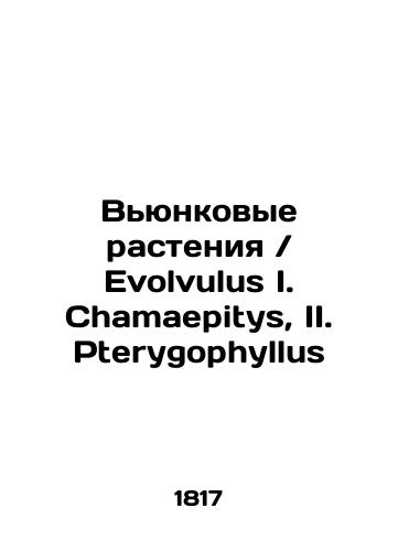 Vyunkovye rasteniya Evolvulus I. Chamaepitys, II. Pterygophyllus/Evolvulus I. Chamaepitys, II. Pterygophyllus In Russian (ask us if in doubt) - landofmagazines.com