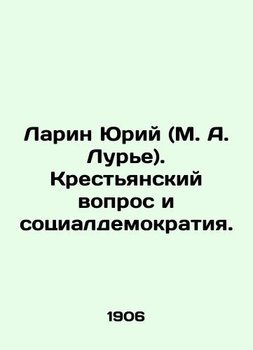 Larin Yuriy (M. A. Lure). Krestyanskiy vopros i sotsialdemokratiya./Larin Yuri (M. A. Lurie). The Peasant Question and Social Democracy. In Russian (ask us if in doubt). - landofmagazines.com