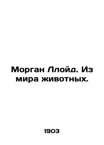 Morgan Lloyd. Iz mira zhivotnykh./Morgan Lloyd. From the Animal World. In Russian (ask us if in doubt). - landofmagazines.com