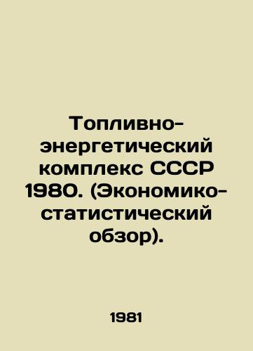 Toplivno-energeticheskiy kompleks SSSR 1980. (Ekonomiko-statisticheskiy obzor)./The Fuel and Energy Complex of the USSR 1980. (Economic and Statistical Survey). In Russian (ask us if in doubt) - landofmagazines.com