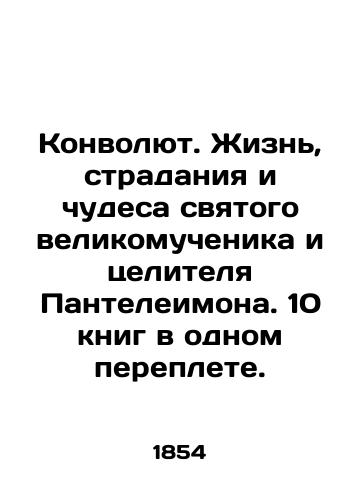 Konvolyut. Zhizn, stradaniya i chudesa svyatogo velikomuchenika i tselitelya Panteleimona. 10 knig v odnom pereplete./Convolutee. The Life, Suffering, and Miracles of the Holy Great Martyr and Healer Panteleimon. Ten books in one cover. In Russian (ask us if in doubt) - landofmagazines.com