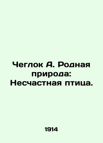 Cheglok A. Rodnaya priroda: Neschastnaya ptitsa./Chegloc A. Native Nature: The Unlucky Bird. In Russian (ask us if in doubt). - landofmagazines.com