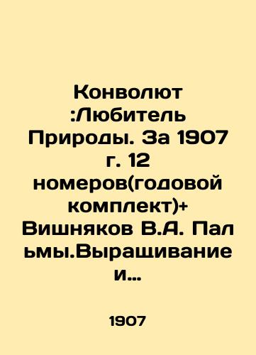 Konvolyut :Lyubitel Prirody. Za 1907 g. 12 nomerov(godovoy komplekt)+ Vishnyakov V.A. Palmy.Vyrashchivanie i soderzhanie palm v zhilykh komnatakh+ Semenov N.E. Komnatnoe tsvetovodstvo (32str./Convolute: Lover of Nature. For 1907, 12 rooms (annual kit) + Vishnyakov V.A. Palmy.Growing and maintaining palms in living rooms + Semyonov N.E. Room flower growing (32p.). In Russian (ask us if in doubt) - landofmagazines.com