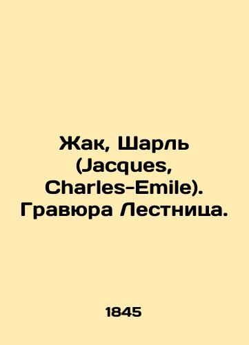 Zhak, Sharl (Jacques, Charles-Emile). Gravyura Lestnitsa./Jacques, Charles-Emile. Staircase engraving. In Russian (ask us if in doubt) - landofmagazines.com