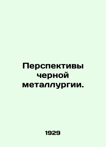 Perspektivy chernoy metallurgii./The future of the steel industry. In Russian (ask us if in doubt) - landofmagazines.com