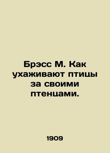 Bress M. Kak ukhazhivayut ptitsy za svoimi ptentsami./Brass M. How do birds care for their chicks. In Russian (ask us if in doubt). - landofmagazines.com