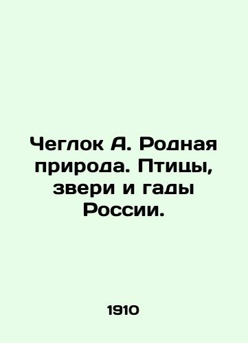 Cheglok A. Rodnaya priroda. Ptitsy, zveri i gady Rossii./Cheglok A. Native Nature. Birds, Beasts and Gangs of Russia. In Russian (ask us if in doubt) - landofmagazines.com