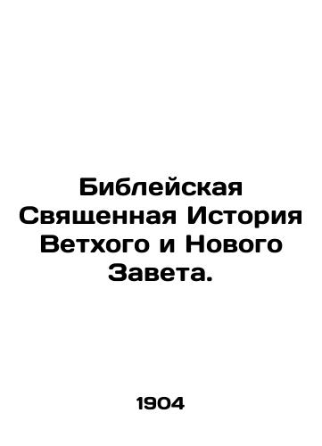 Bibleyskaya Svyashchennaya Istoriya Vetkhogo i Novogo Zaveta./The Holy Bible Story of the Old and New Testaments. In Russian (ask us if in doubt). - landofmagazines.com