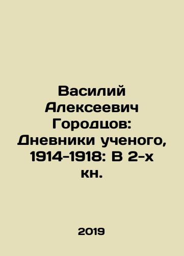 Vasiliy Alekseevich Gorodtsov: Dnevniki uchenogo, 1914-1918: V 2-kh kn./Vasily Alekseevich Gorodtsov: The Diaries of a Scientist, 1914-1918: In Book 2. In Russian (ask us if in doubt) - landofmagazines.com