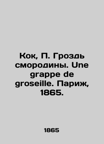 Kok, P. Grozd smorodiny. Une grappe de groseille. Parizh, 1865./Kok, P. Grape of currants. Une grappe de groseille. Paris, 1865. - landofmagazines.com