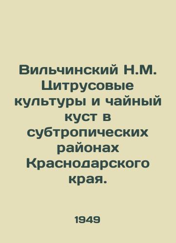 Vilchinskiy N.M. Tsitrusovye kultury i chaynyy kust v subtropicheskikh rayonakh Krasnodarskogo kraya./Wilchinsky N.M. Citrus crops and tea bush in the subtropical regions of Krasnodar Krai. - landofmagazines.com