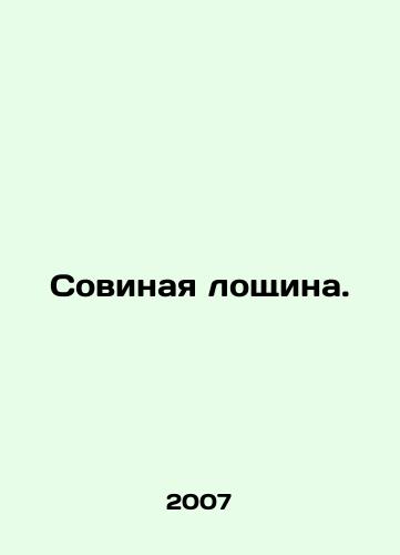 Sovinaya loshchina./Owl valley. In Russian - landofmagazines.com
