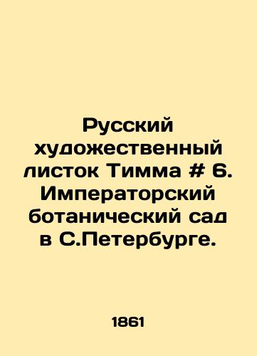 Russkiy khudozhestvennyy listok Timma # 6. Imperatorskiy botanicheskiy sad v S.Peterburge./Russian Timm leaflet # 6. Imperial Botanical Garden in St. Petersburg. In Russian - landofmagazines.com