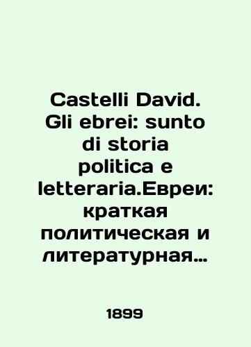Castelli David. Gli ebrei: sunto di storia politica e letteraria.Evrei: kratkaya politicheskaya i literaturnaya istoriya./Castelli David. Gli ebrei: sunto di storia politica e letteraria.Jews: A Brief Political and Literary History. In Italian - landofmagazines.com