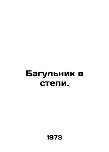 Bagulnik v stepi./Bagulnik in the steppe. In Russian - landofmagazines.com