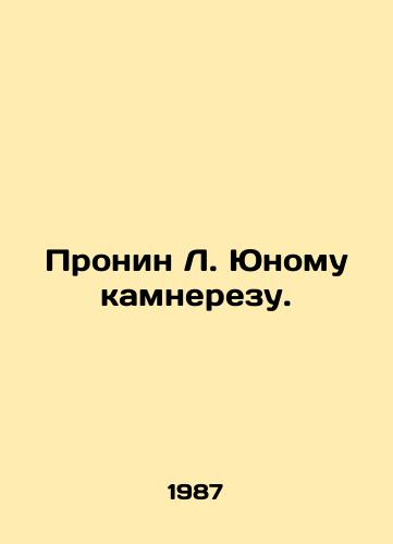 Pronin L. Yunomu kamnerezu./Pronin L. to a young stone cutter. In Russian - landofmagazines.com