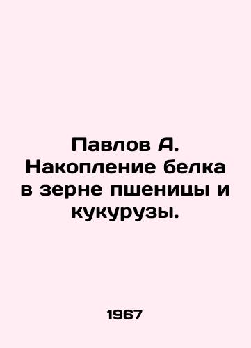 Pavlov A. Nakoplenie belka v zerne pshenitsy i kukuruzy./Pavlov A. Protein accumulation in wheat and maize grains. In Russian - landofmagazines.com