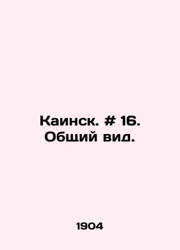 Kainsk. # 16. Obshchiy vid./Kainsk. # 16. General view. In Russian - landofmagazines.com